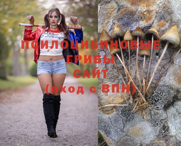 кристаллы Карпинск