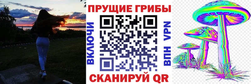 Купить Каргополь Галлюциногенные грибы мухоморы