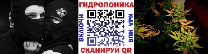 МАРИХУАНА Amnesia  Купить где  Каргополь 